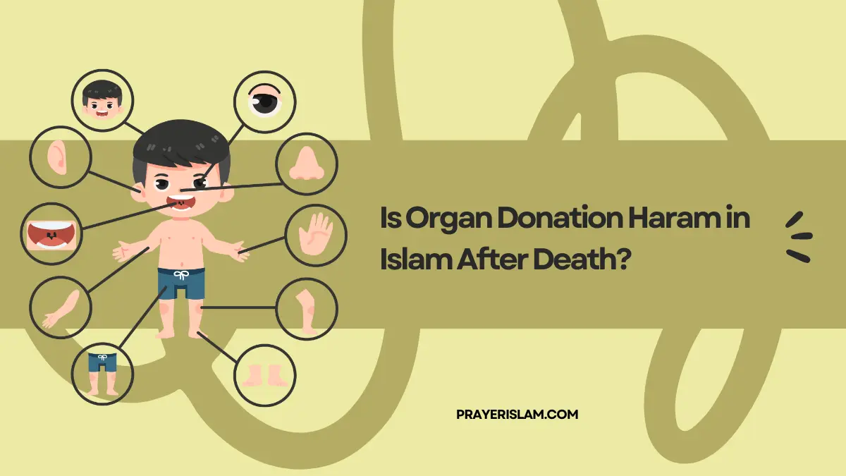 Is Organ Donation Haram in Islam After Death